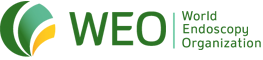 logo-weo